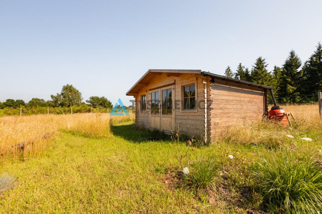 Dąbrowa Brzezieńska gm. Łęczyce działka 3000m2 - zdjęcie 9