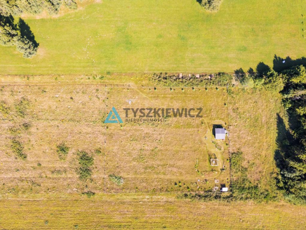 Dąbrowa Brzezieńska gm. Łęczyce działka 3000m2 - zdjęcie 6