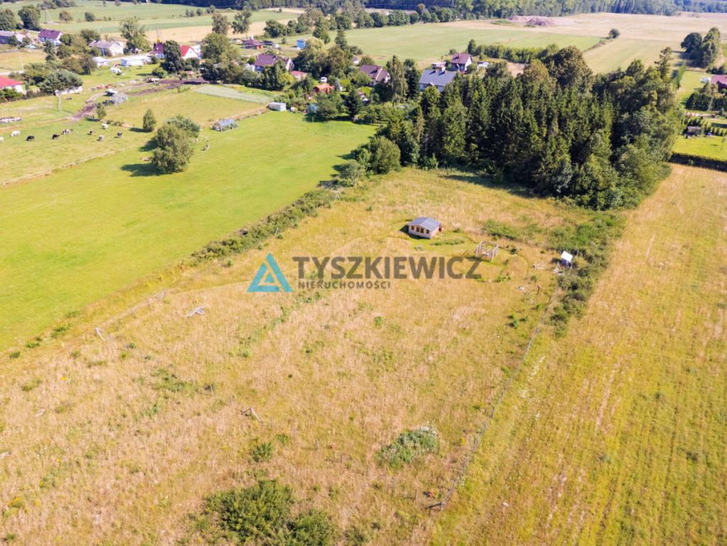 Dąbrowa Brzezieńska gm. Łęczyce działka 3000m2 - zdjęcie 4