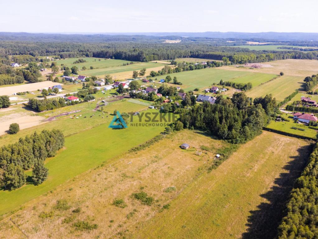 Dąbrowa Brzezieńska gm. Łęczyce działka 3000m2 - zdjęcie 5