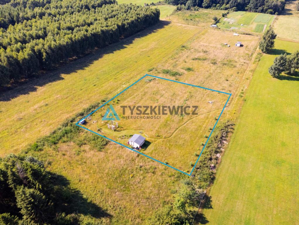 Dąbrowa Brzezieńska gm. Łęczyce działka 3000m2 - zdjęcie 2