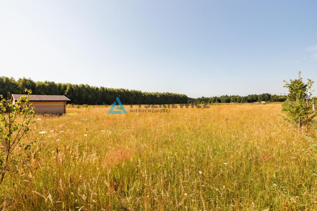 Dąbrowa Brzezieńska gm. Łęczyce działka 3000m2 - zdjęcie 11