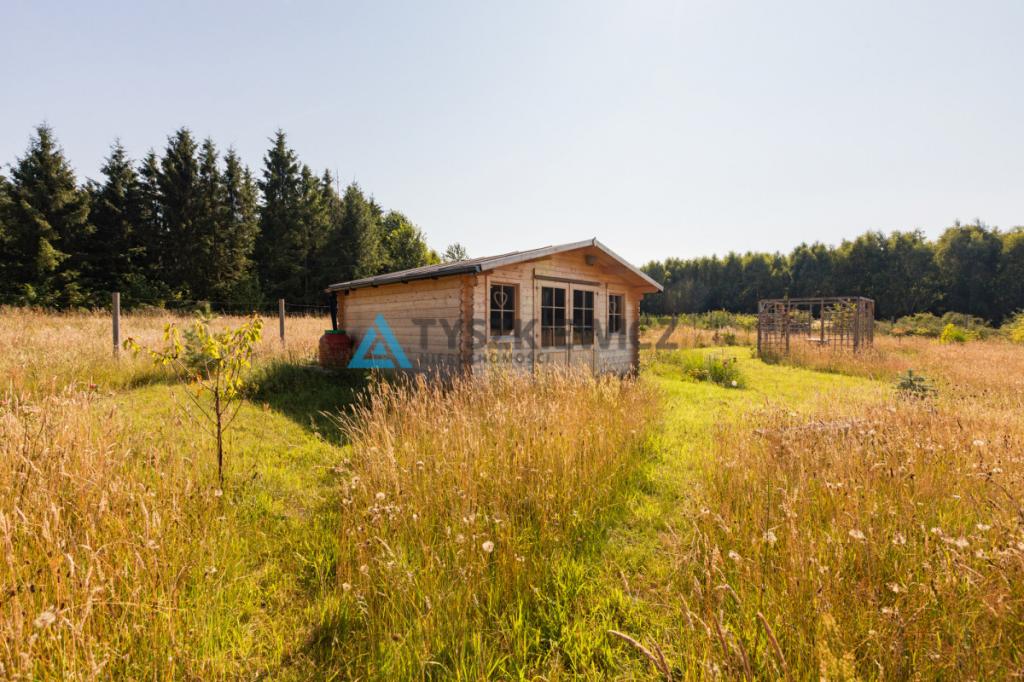 Dąbrowa Brzezieńska gm. Łęczyce działka 3000m2 - zdjęcie 8