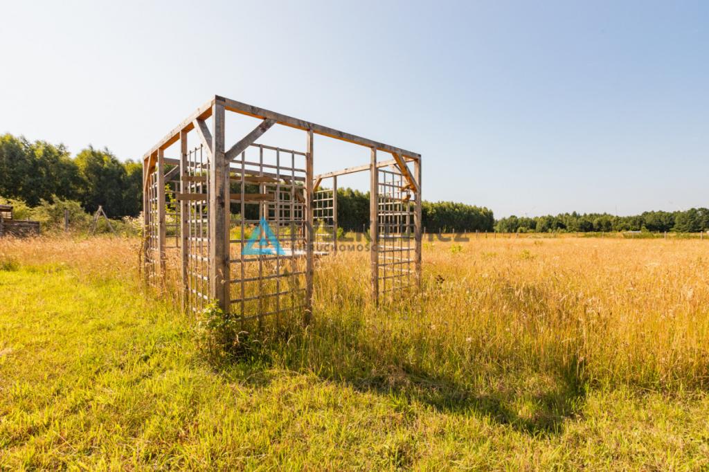 Dąbrowa Brzezieńska gm. Łęczyce działka 3000m2 - zdjęcie 10