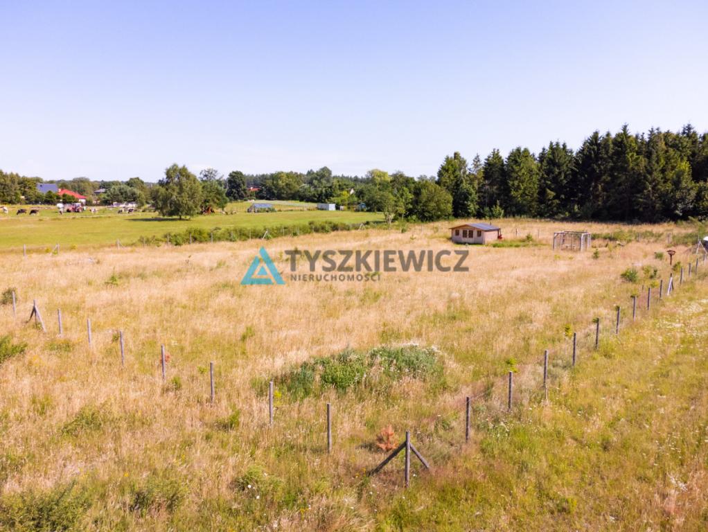 Dąbrowa Brzezieńska gm. Łęczyce działka 3000m2 - zdjęcie 7