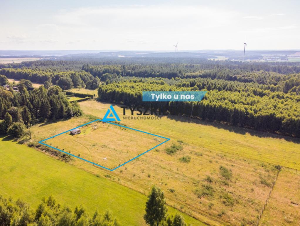 Dąbrowa Brzezieńska gm. Łęczyce działka 3000m2 - zdjęcie 1