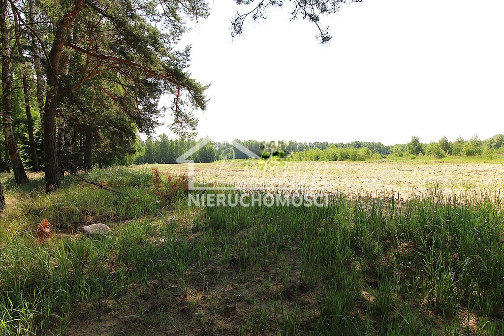 Działka rolna 1075 m², Grabowo - zdjęcie 3