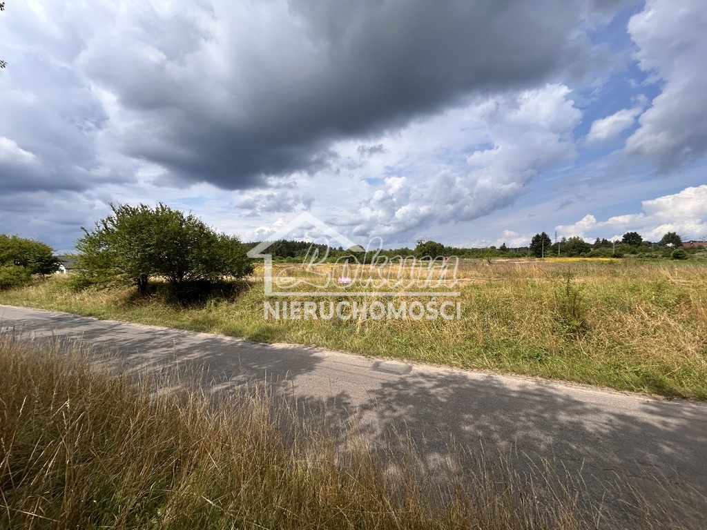 Działka inwestycyjna 4800&nbsp;m², Wieńkowo - zdjęcie 1