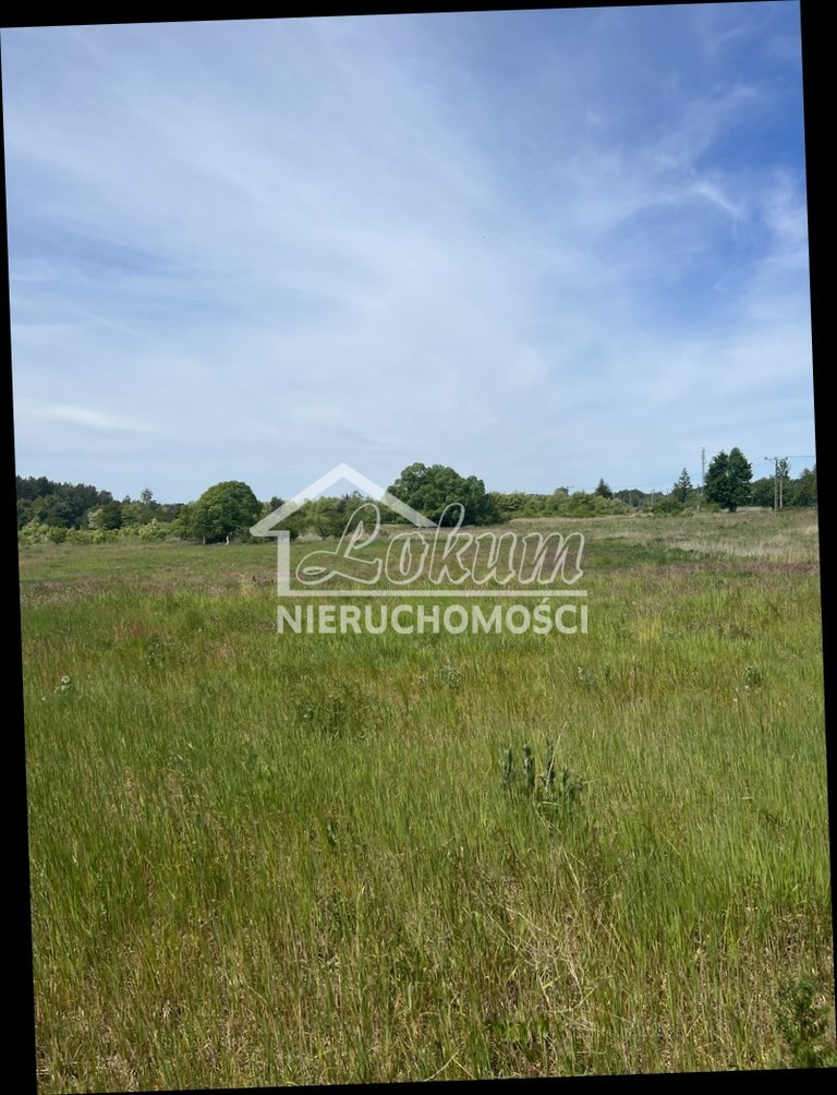 Działka inwestycyjna 4800&nbsp;m², Wieńkowo - zdjęcie 7