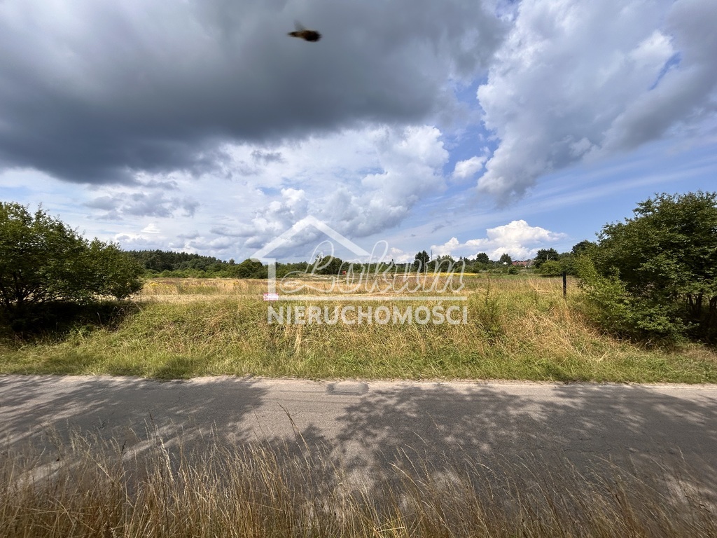 Działka inwestycyjna 4800&nbsp;m², Wieńkowo - zdjęcie 2