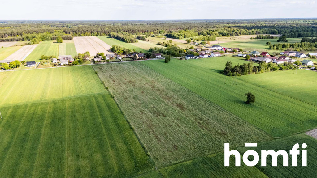 Działka budowlana 2,14&nbsp;ha, Czarna Kolonia - zdjęcie 10