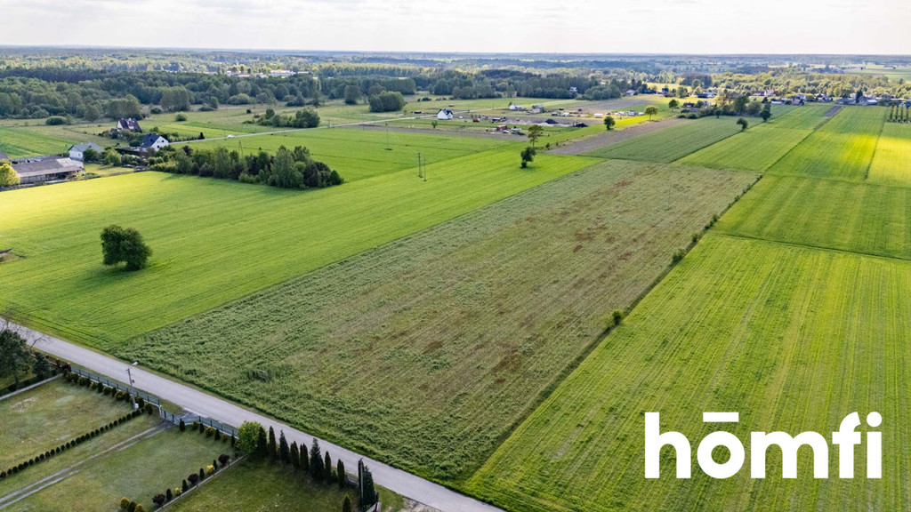 Działka budowlana 2,14&nbsp;ha, Czarna Kolonia - zdjęcie 5