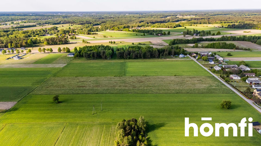 Działka budowlana 2,14&nbsp;ha, Czarna Kolonia - zdjęcie 12