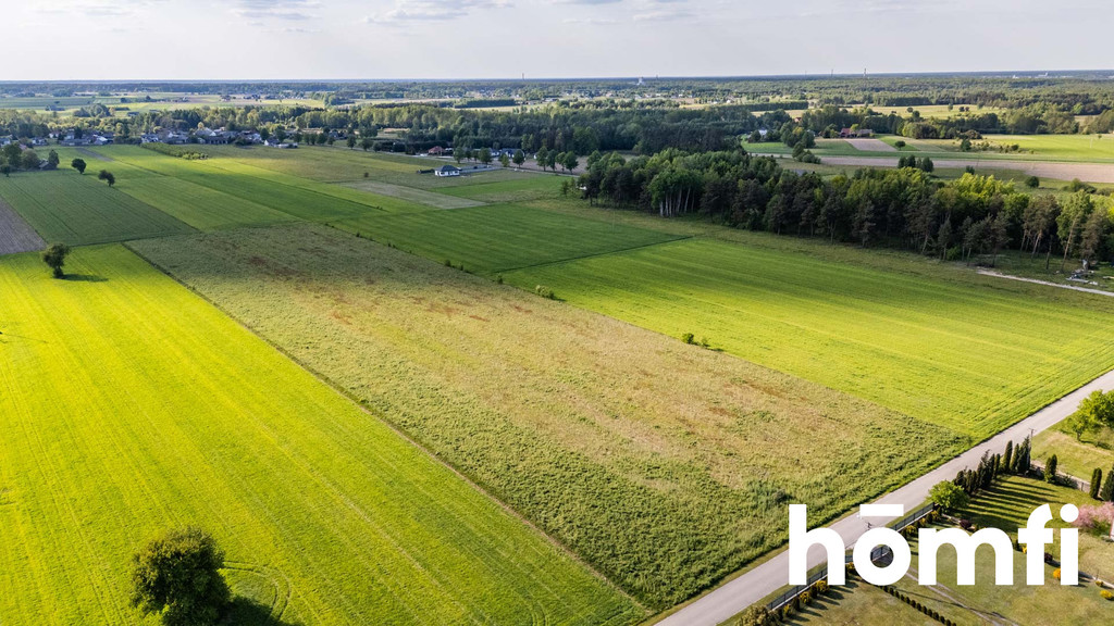 Działka budowlana 2,14&nbsp;ha, Czarna Kolonia - zdjęcie 2
