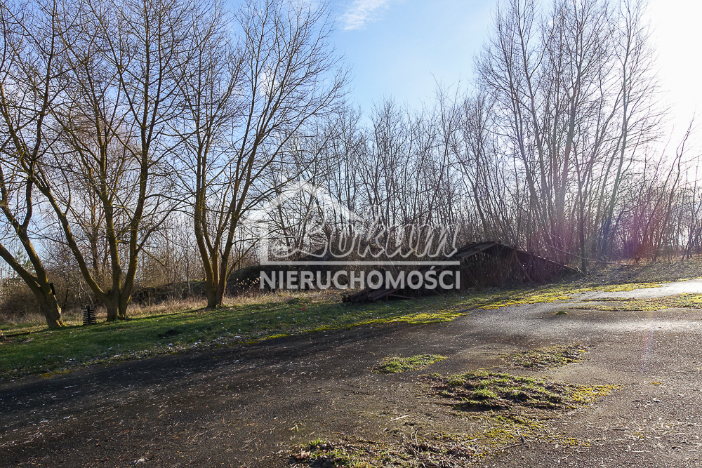 Magazyn na sprzedaż, 685&nbsp;m², Stepnica - zdjęcie 5