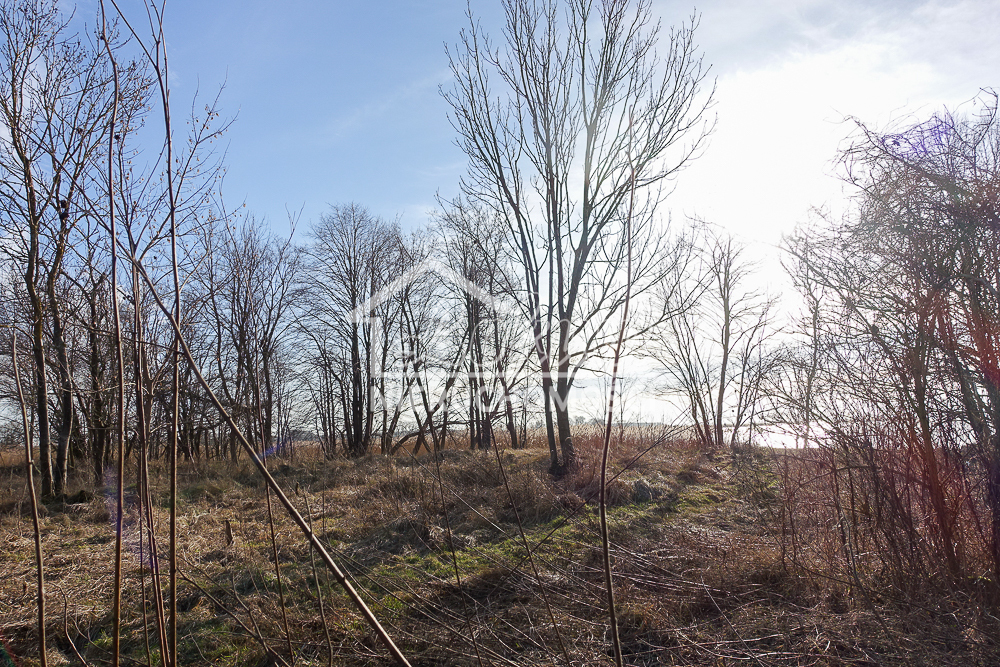 Magazyn na sprzedaż, 685&nbsp;m², Stepnica - zdjęcie 11