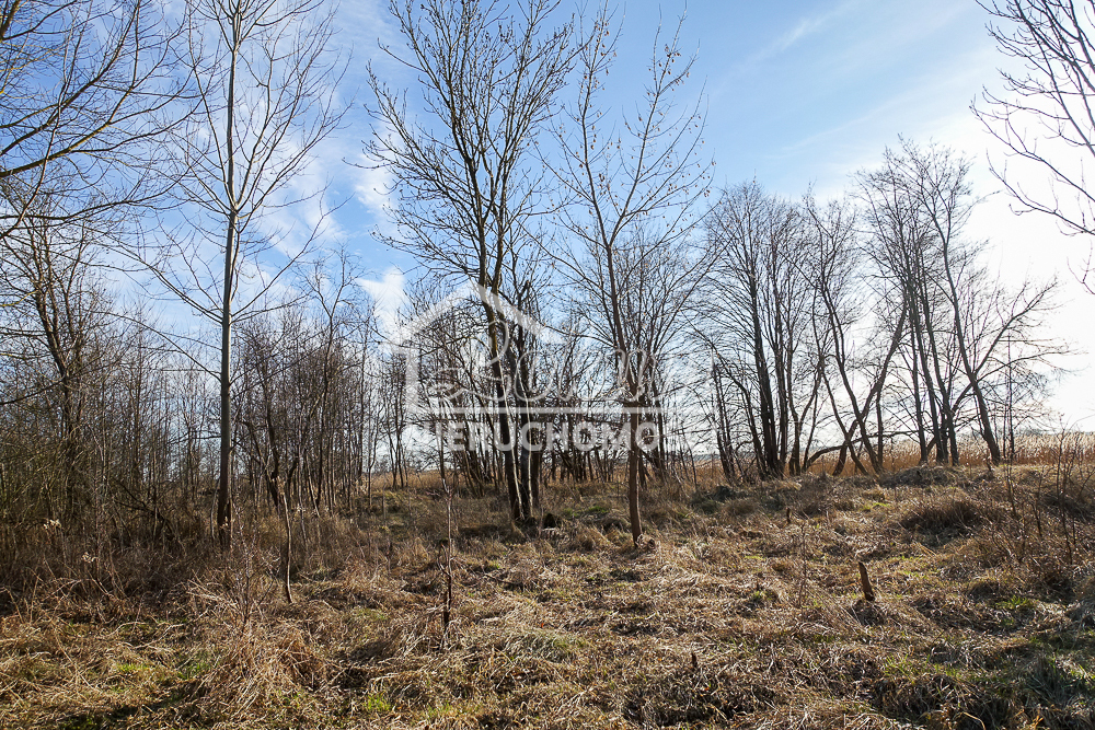 Magazyn na sprzedaż, 685&nbsp;m², Stepnica - zdjęcie 14