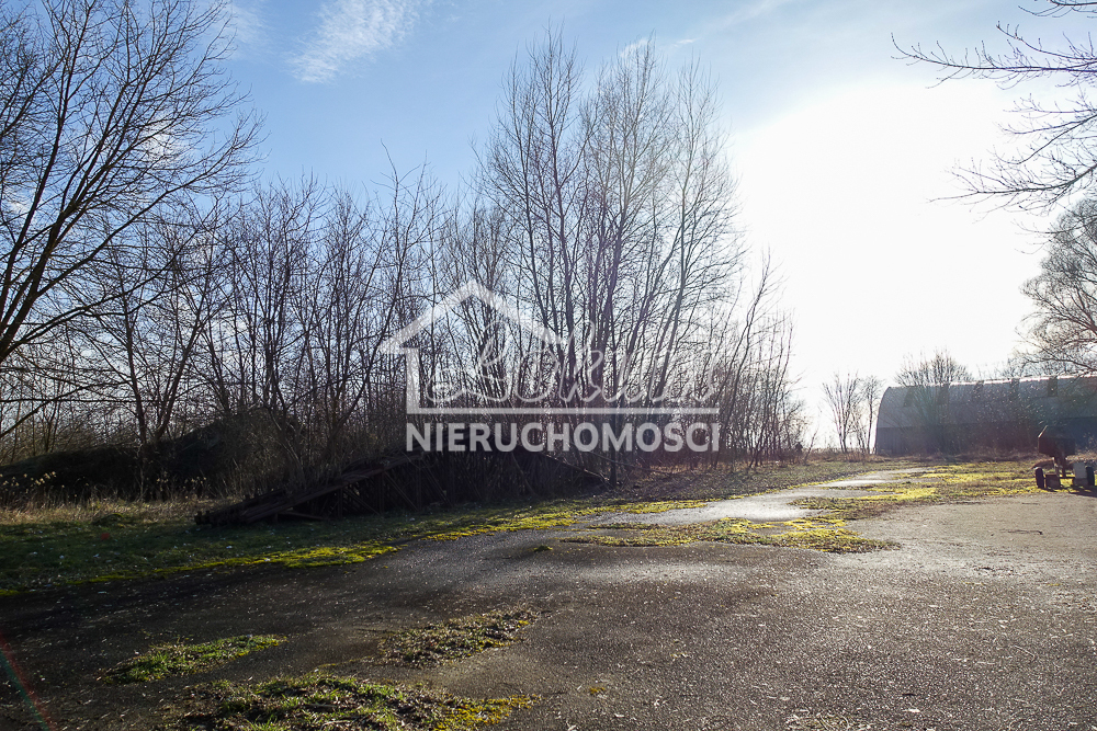 Magazyn na sprzedaż, 685&nbsp;m², Stepnica - zdjęcie 7