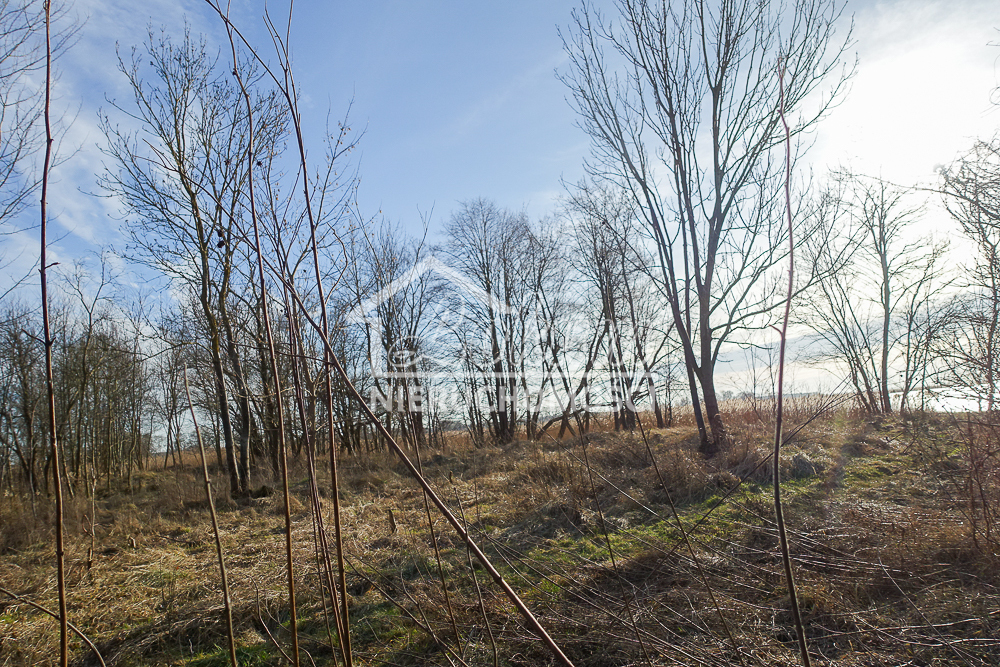Magazyn na sprzedaż, 685&nbsp;m², Stepnica - zdjęcie 12