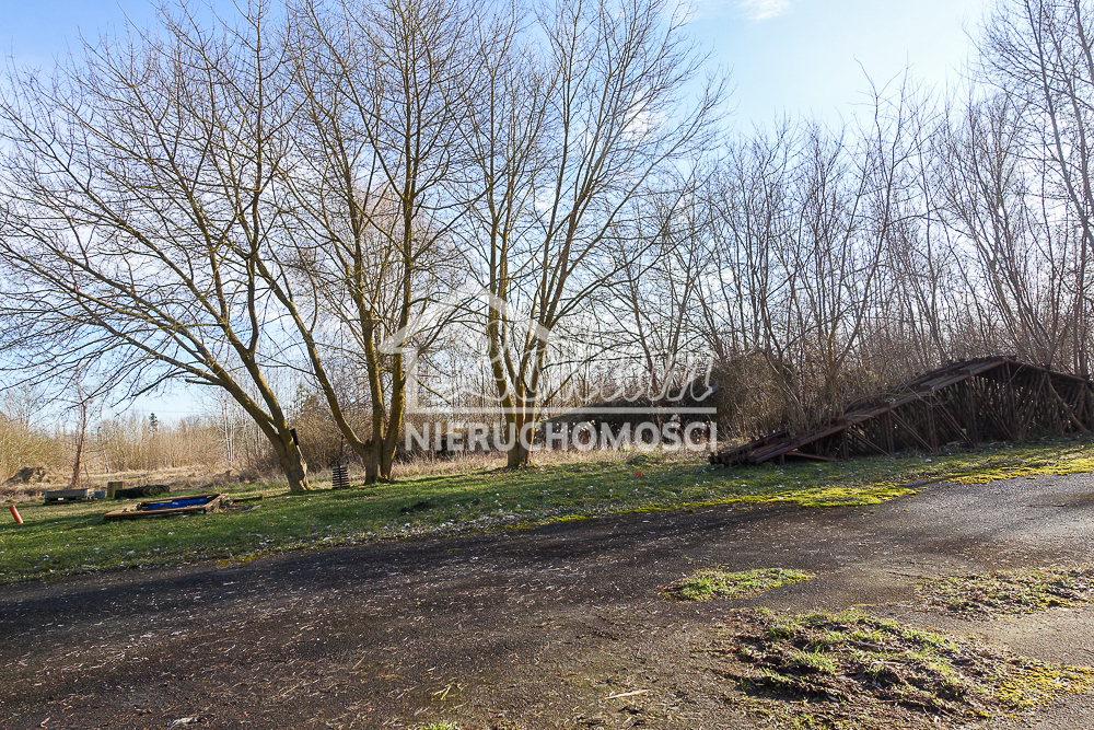 Magazyn na sprzedaż, 685&nbsp;m², Stepnica - zdjęcie 6