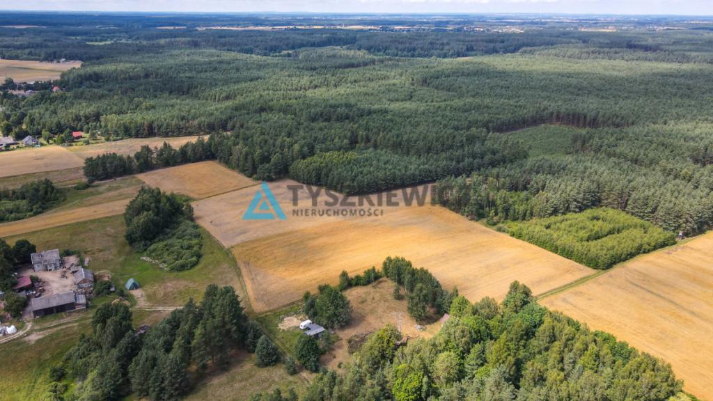 Działka w sercu lasu - cisza i spokój - zdjęcie 9