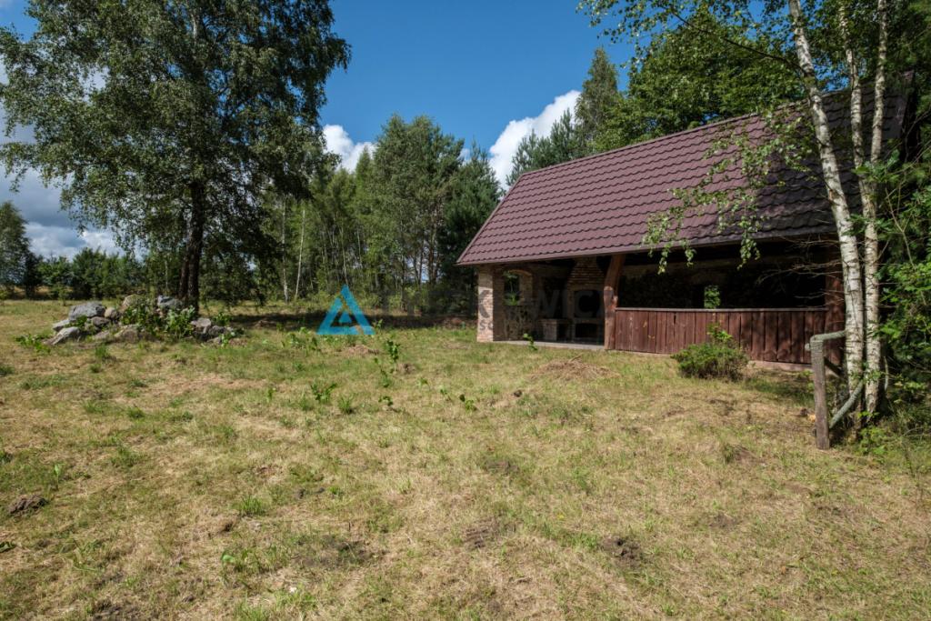 Działka w sercu lasu - cisza i spokój - zdjęcie 29
