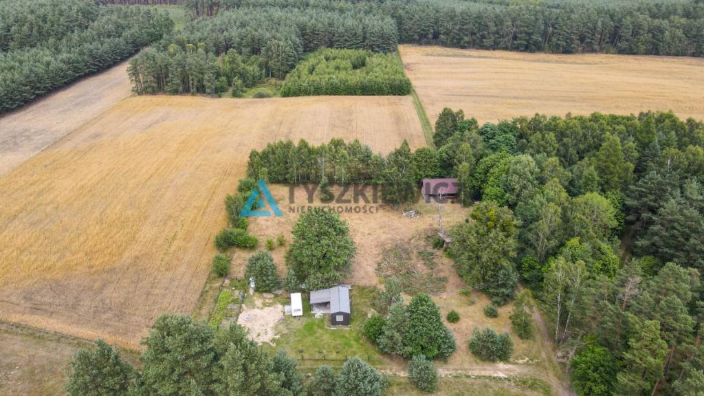 Działka w sercu lasu - cisza i spokój - zdjęcie 3