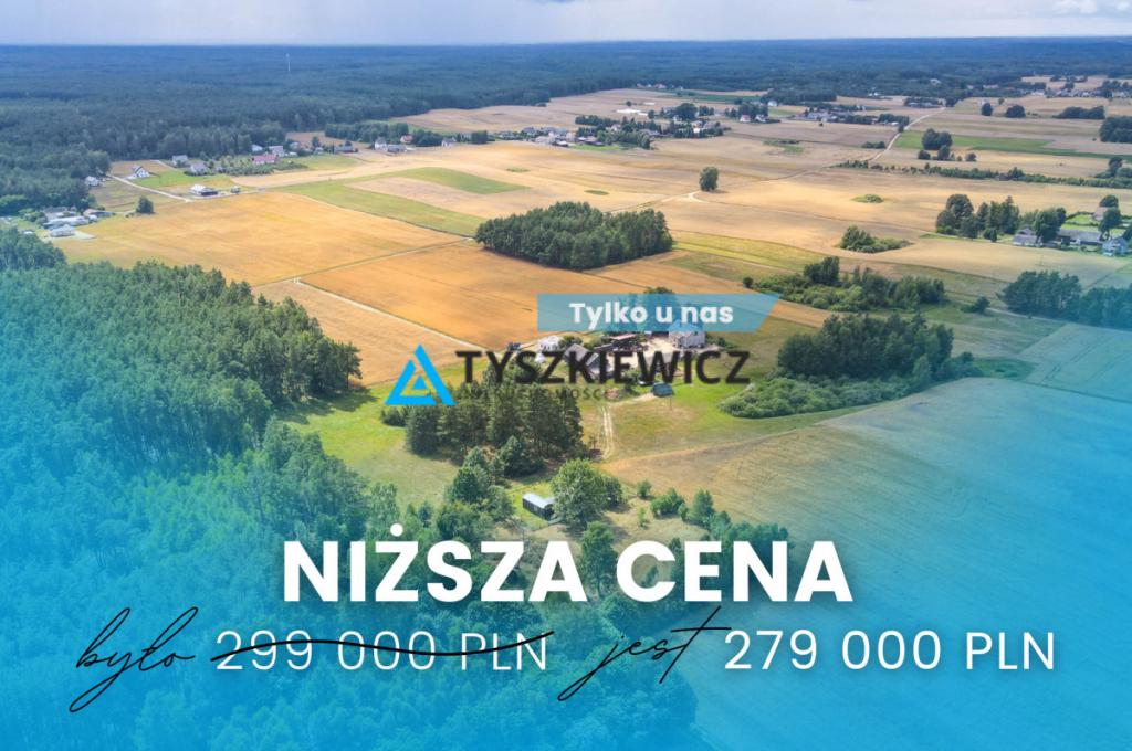 Działka w sercu lasu - cisza i spokój - zdjęcie 1
