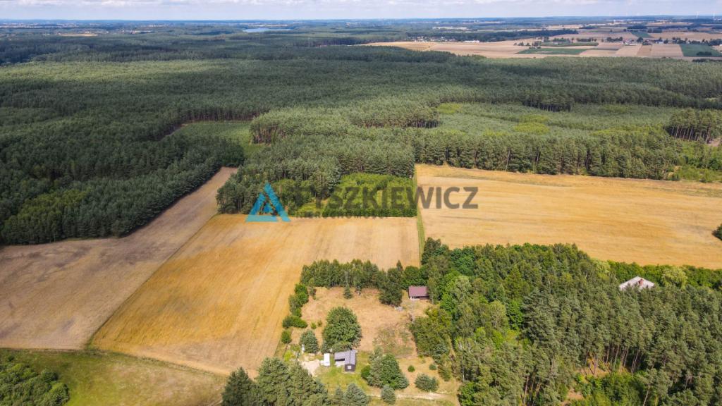 Działka w sercu lasu - cisza i spokój - zdjęcie 8