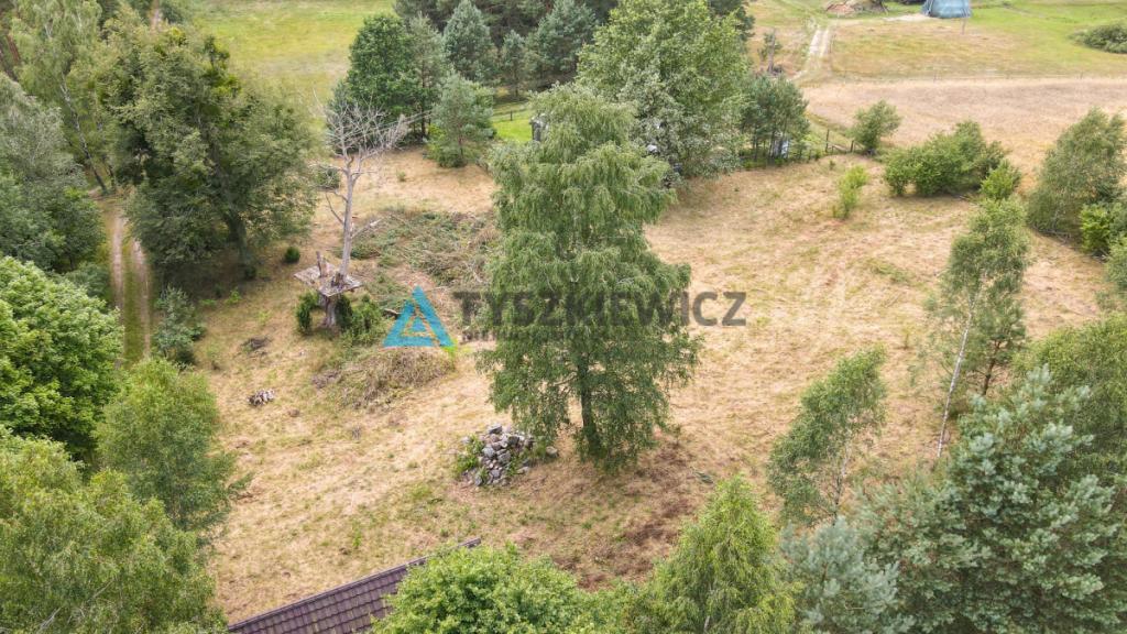 Działka w sercu lasu - cisza i spokój - zdjęcie 22