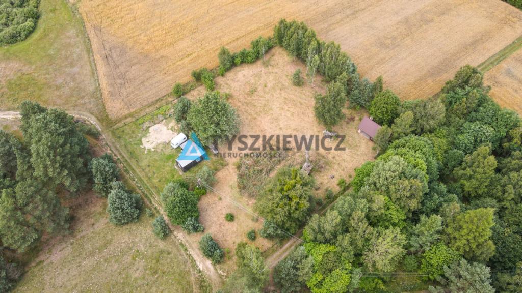 Działka w sercu lasu - cisza i spokój - zdjęcie 7