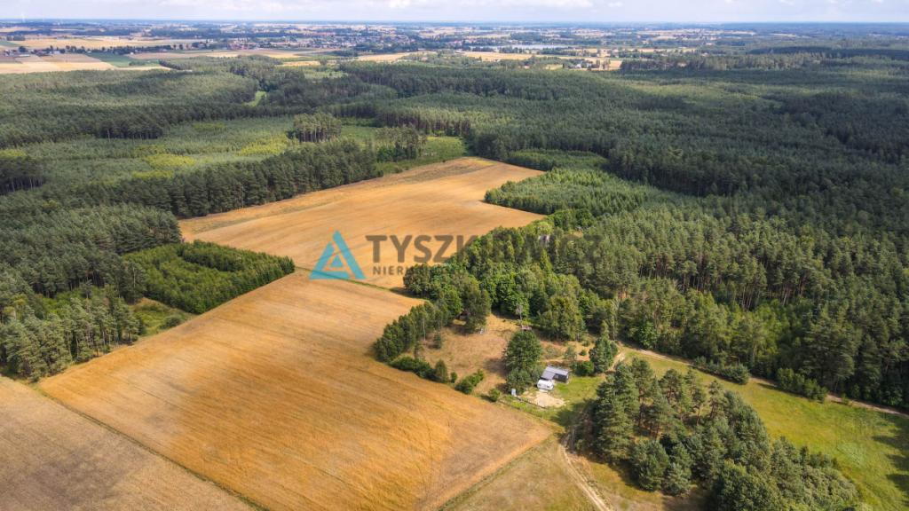 Działka w sercu lasu - cisza i spokój - zdjęcie 15