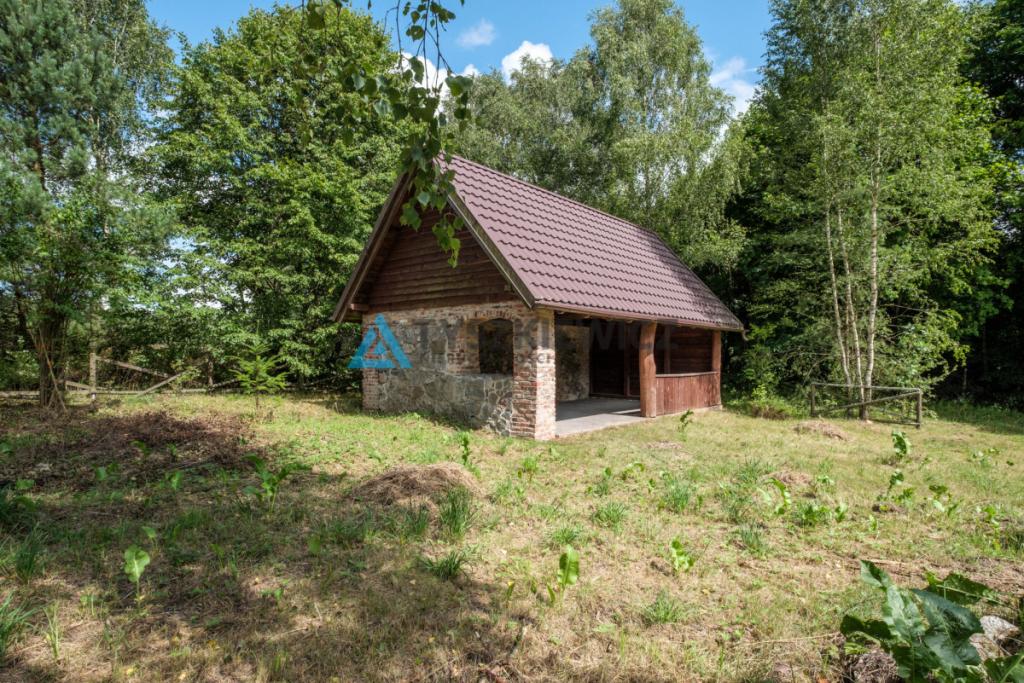 Działka w sercu lasu - cisza i spokój - zdjęcie 5