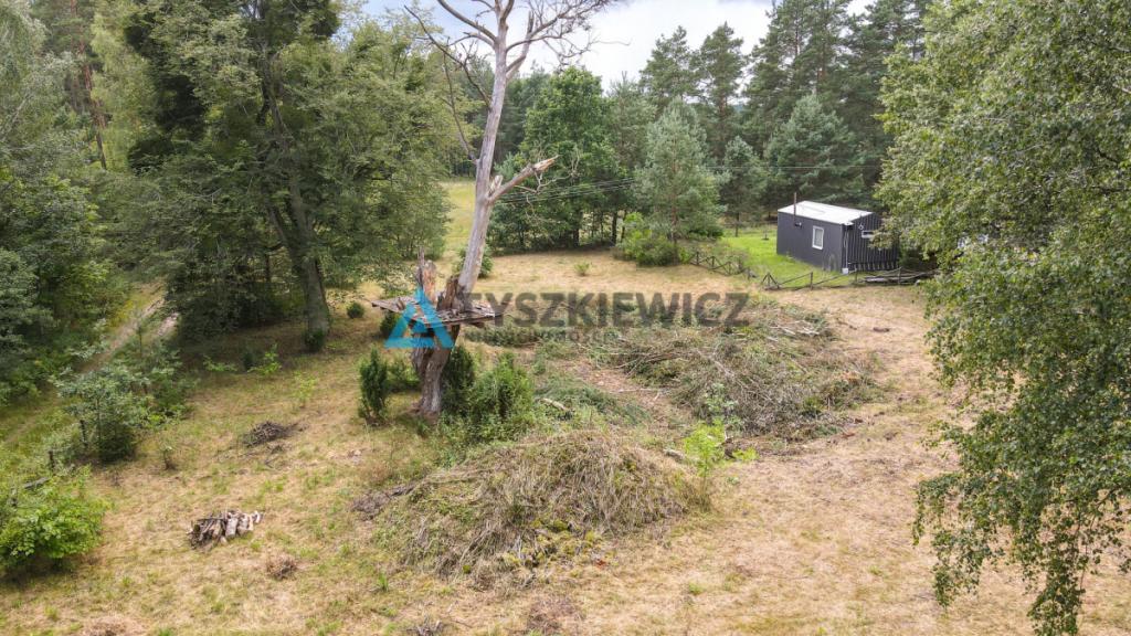 Działka w sercu lasu - cisza i spokój - zdjęcie 23