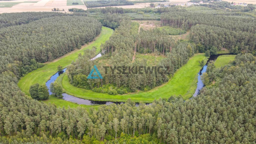 Działka w sercu lasu - cisza i spokój - zdjęcie 25