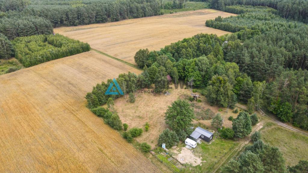 Działka w sercu lasu - cisza i spokój - zdjęcie 18