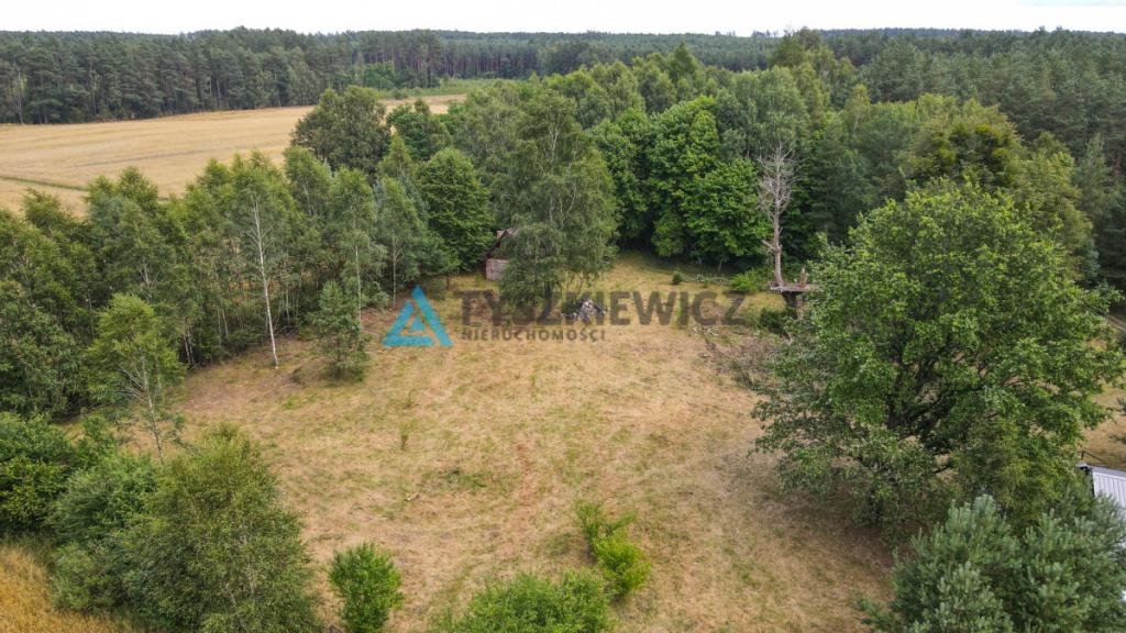 Działka w sercu lasu - cisza i spokój - zdjęcie 20
