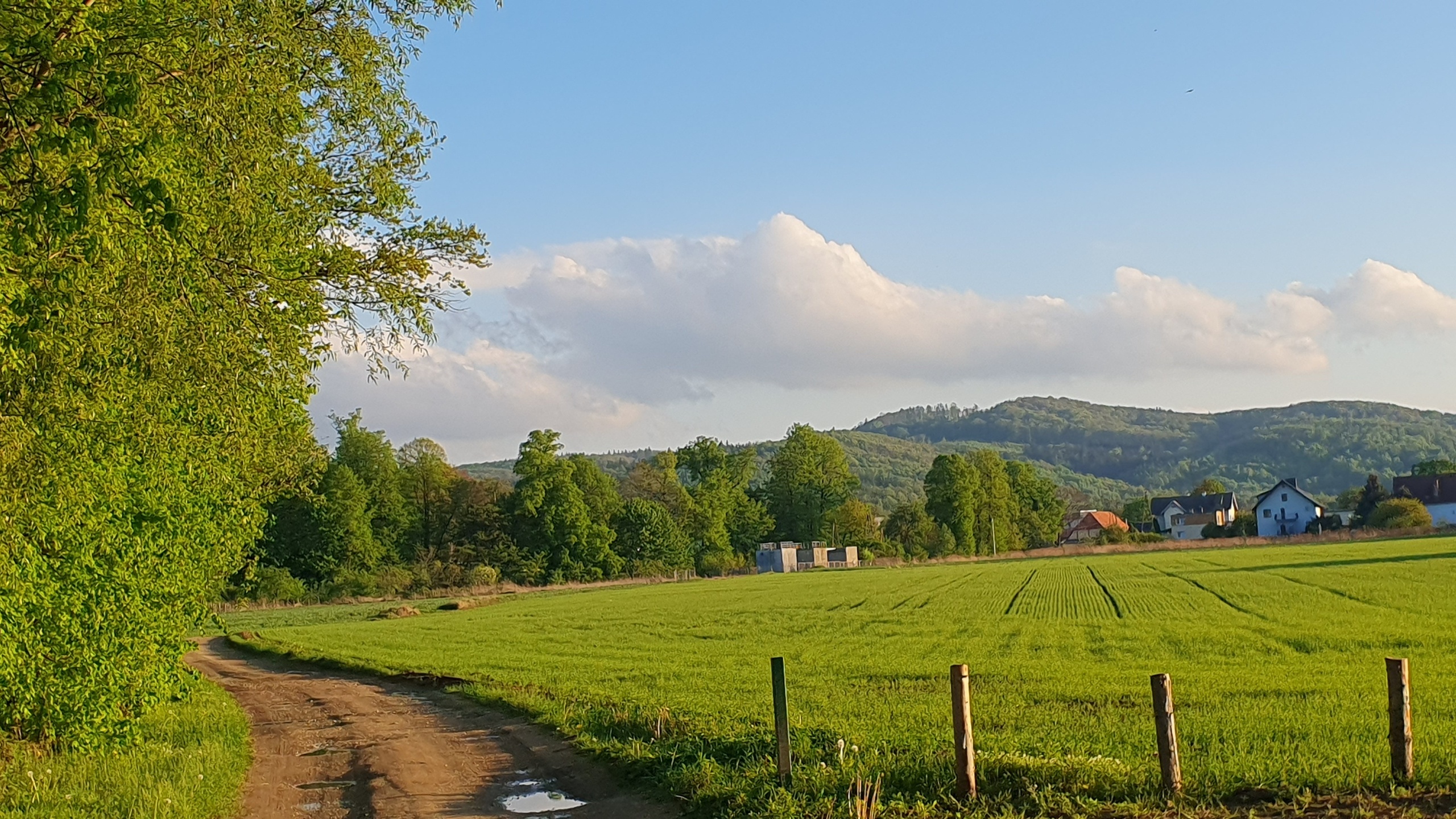 nowoczesny, nowy dom koło Świdnicy - zdjęcie 6