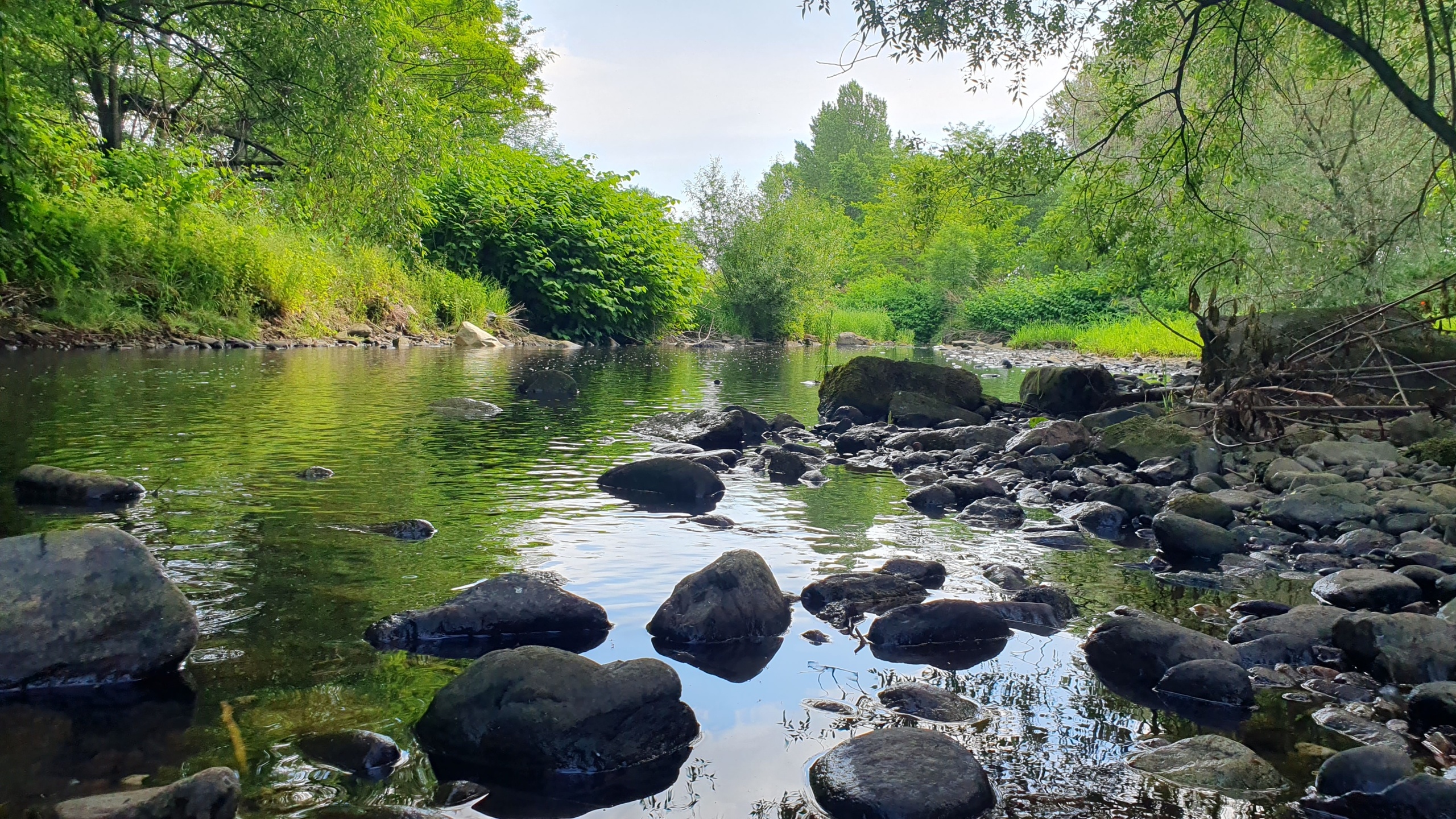 nowoczesny, nowy dom koło Świdnicy - zdjęcie 8