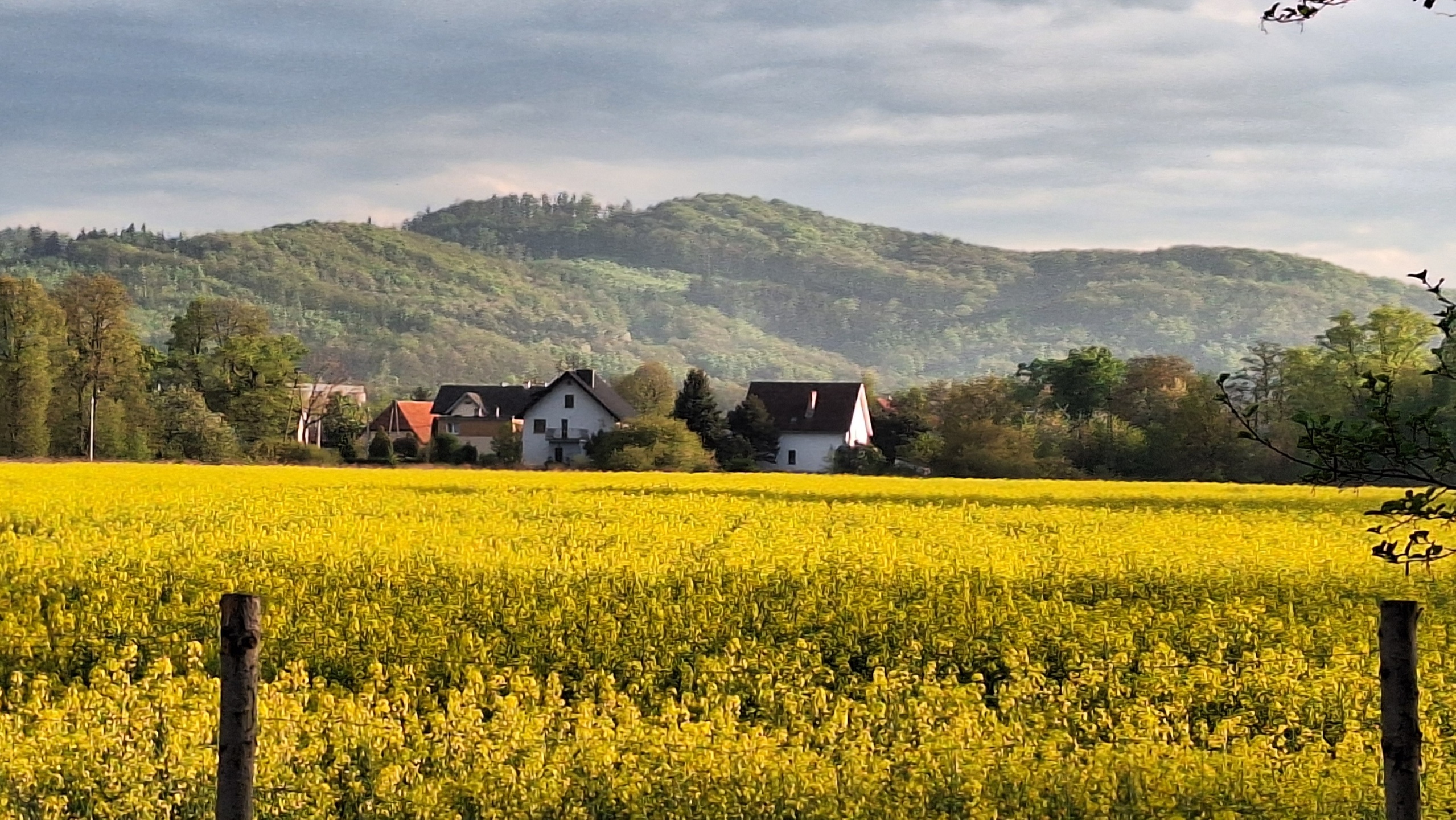 nowoczesny, nowy dom koło Świdnicy - zdjęcie 5