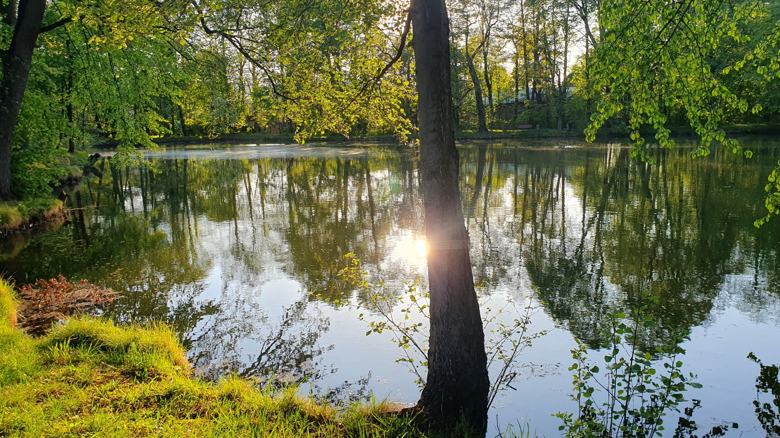 nowoczesny, nowy dom koło Świdnicy - zdjęcie 10