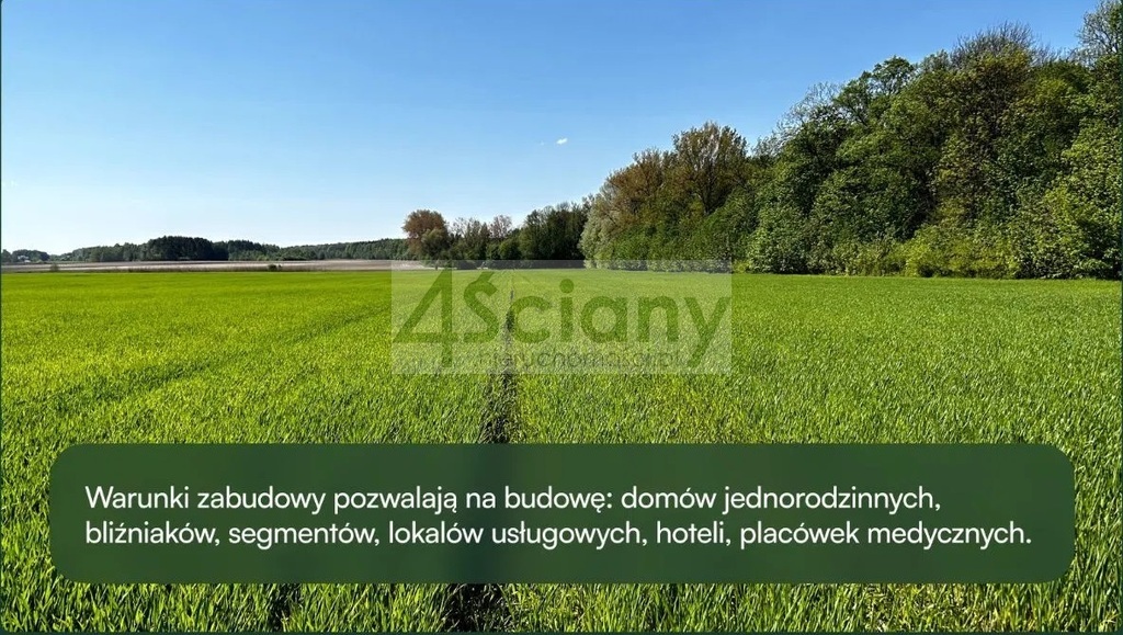Działka budowlana 2,49&nbsp;ha, Młochów - zdjęcie 1