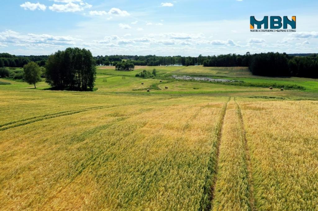 Działka budowlana 1,01&nbsp;ha, Miłki - zdjęcie 12