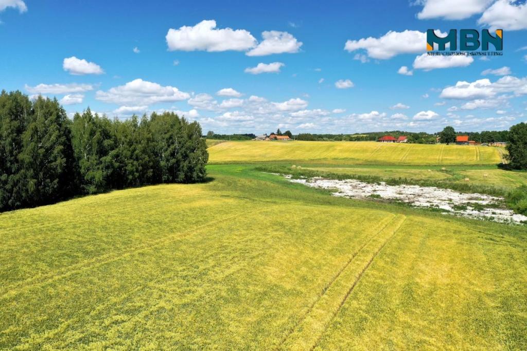 Działka budowlana 1,01&nbsp;ha, Miłki - zdjęcie 10