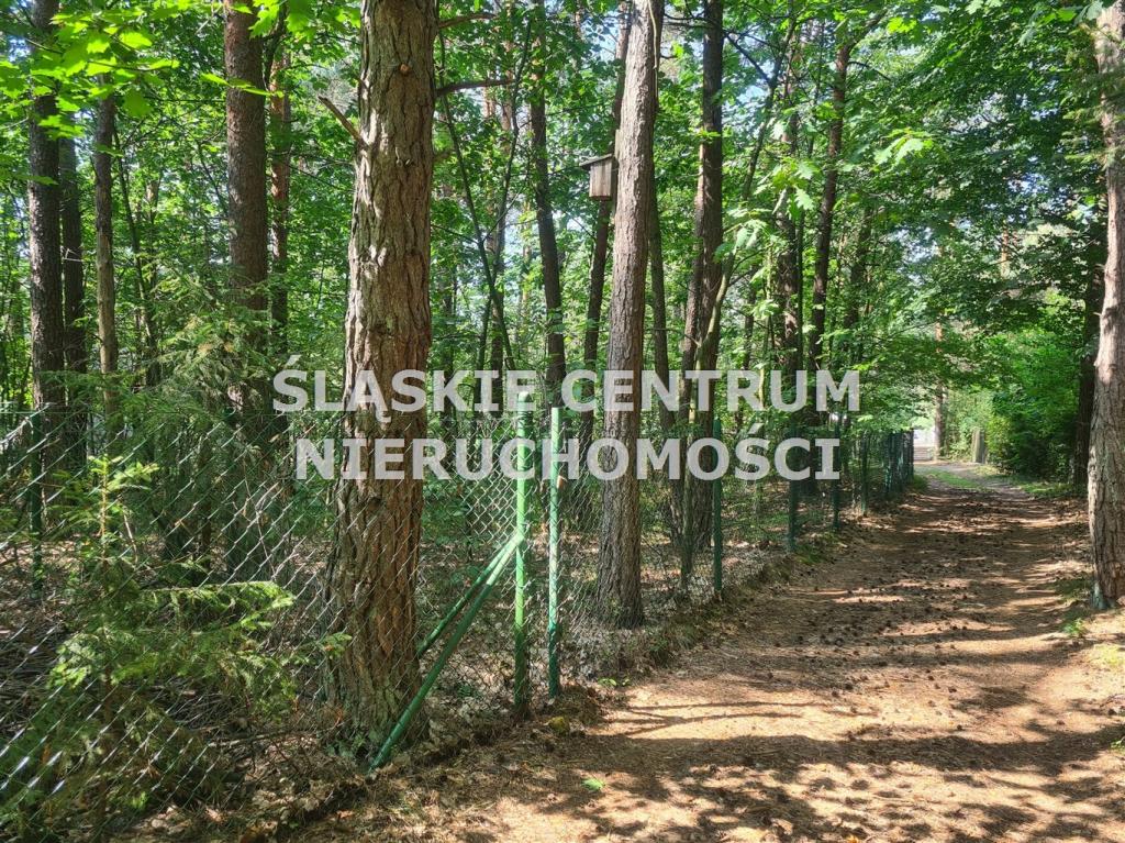 Dom 111 m², Dąbrowa Górnicza, Ząbkowice, Jaskółcza - zdjęcie 9