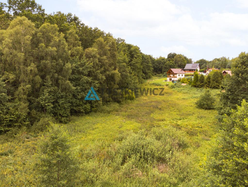 Działka w Pobłociu pierwsza linia brzegowa - zdjęcie 10
