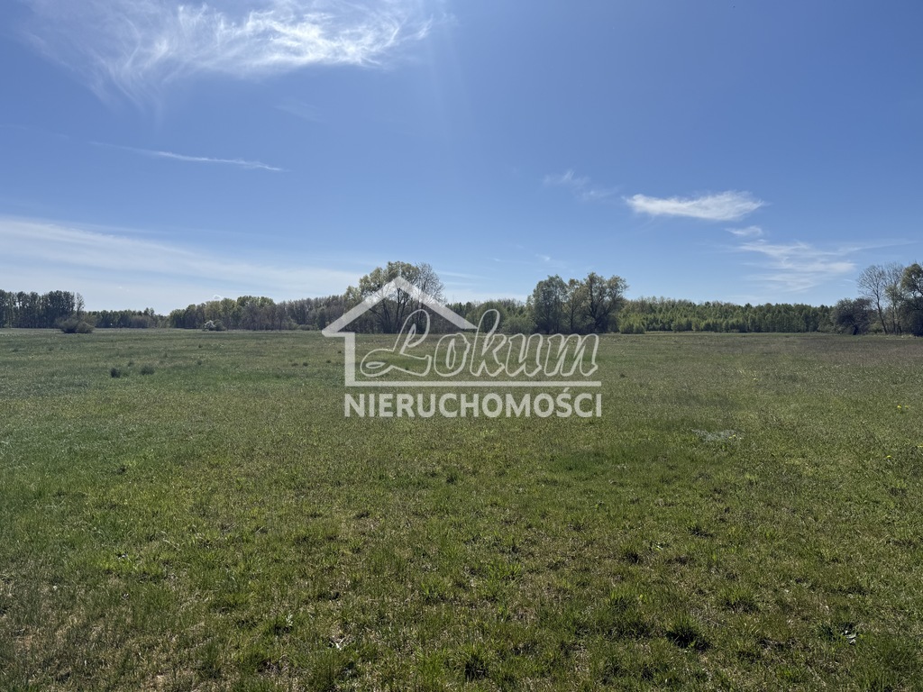 Działka budowlana 9800&nbsp;m², Wieńkowo - zdjęcie 1