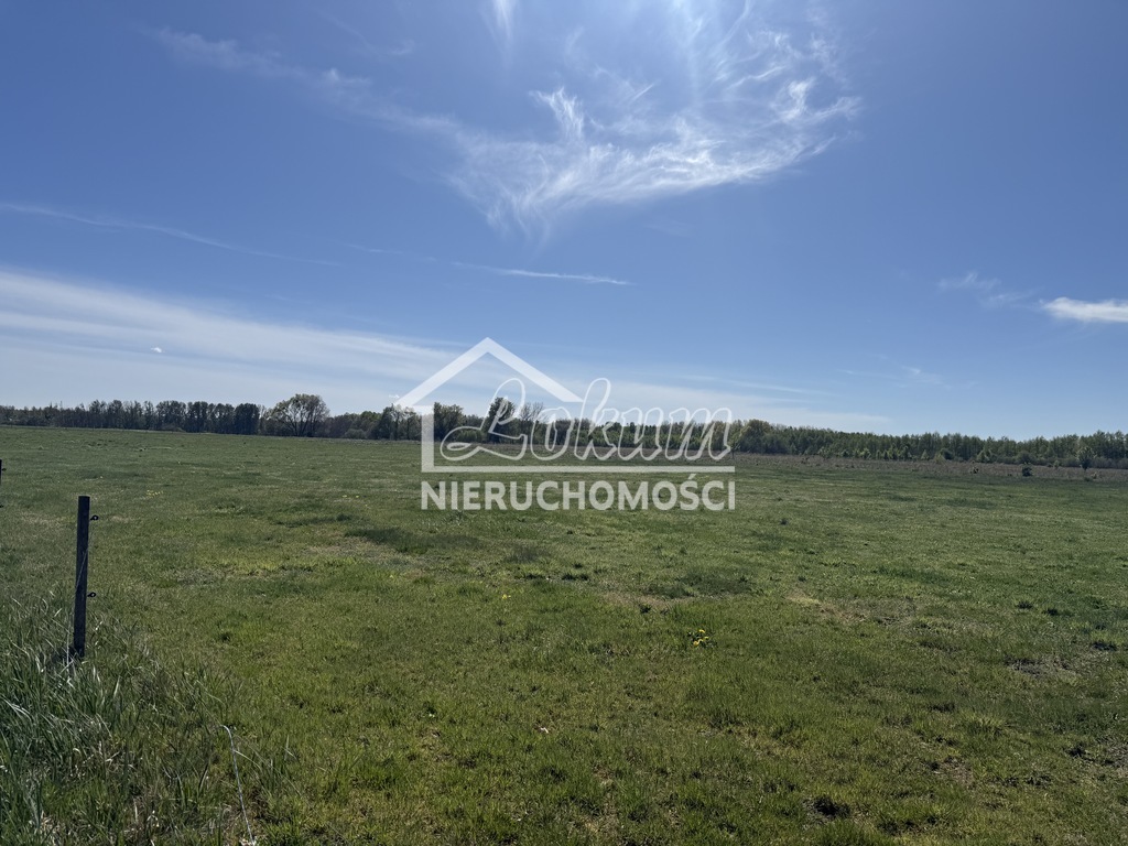 Działka budowlana 9800&nbsp;m², Wieńkowo - zdjęcie 3