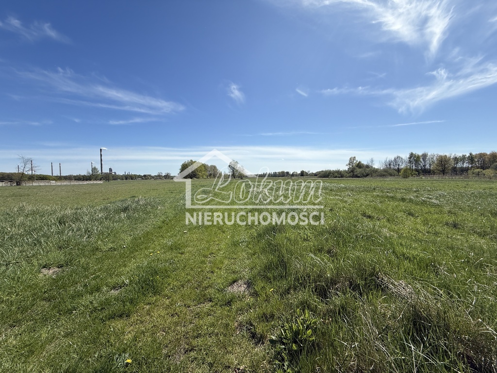 Działka budowlana 9800&nbsp;m², Wieńkowo - zdjęcie 4