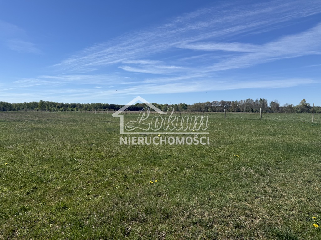 Działka budowlana 9800&nbsp;m², Wieńkowo - zdjęcie 2